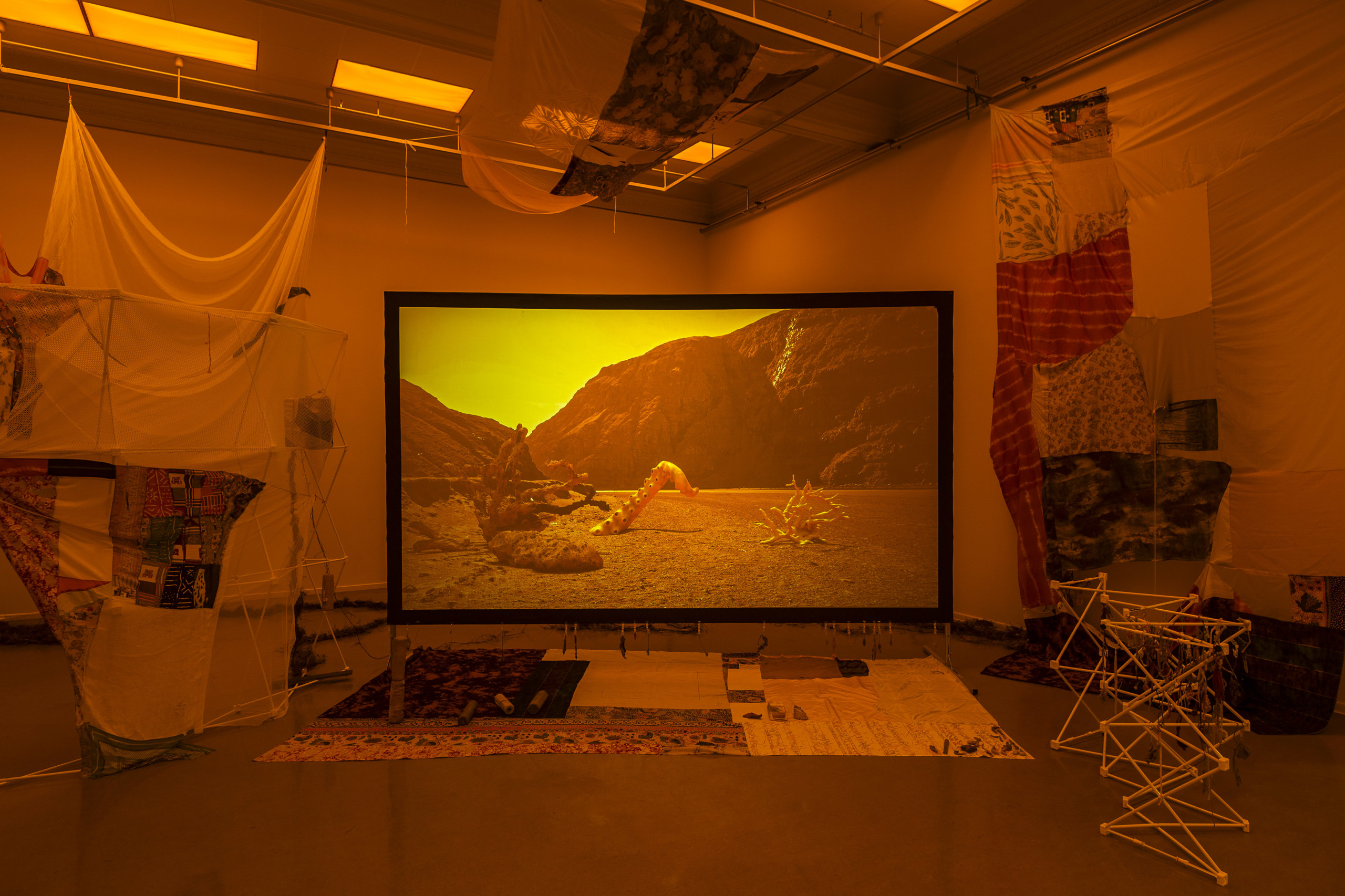 Image of an installation with a video screen in the middle and fabrics hung up on the walls. The video still shows a view of a desert with sea corals on the front.